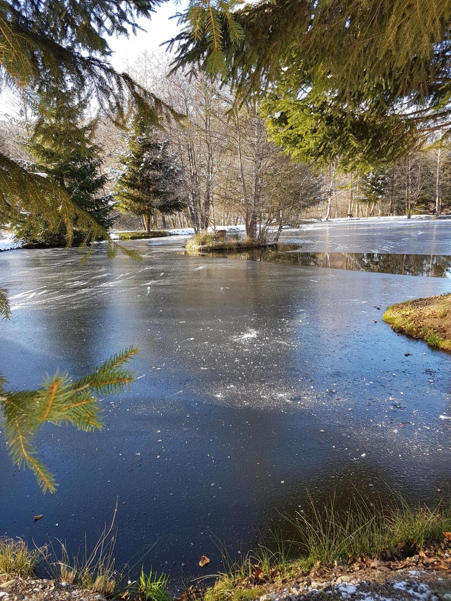 Insolite Chalet de pêche Sérénité - Bien Etre Ban-sur-Meurthe-Clefcy Exterior foto